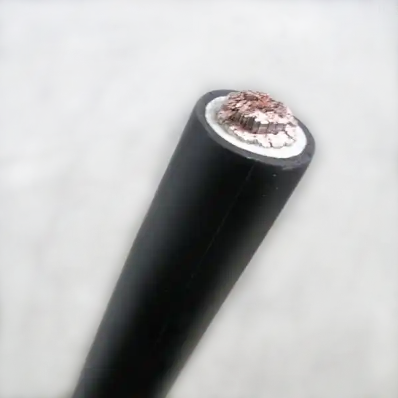 WDZ-DCYJ/3-125-50平方輻照交聯聚烯烴無鹵低煙阻燃電纜